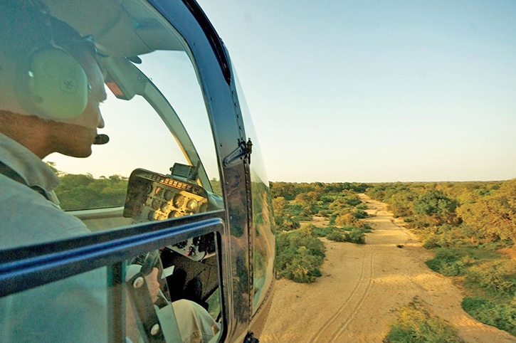 Helicopter pilot spotting wildlife above the bush, Lion Sands, South Africa