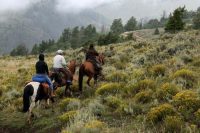Horse Ride, Black Mountain Ranch, Colorado, America