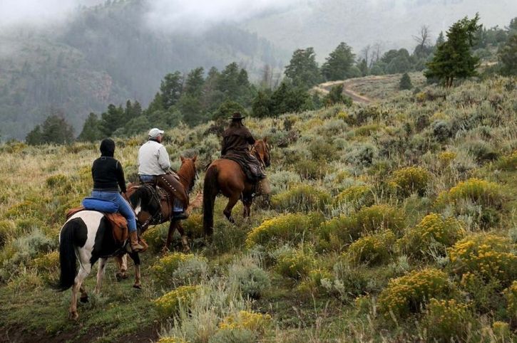 Horse Ride, Black Mountain Ranch, Colorado, America