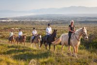 Guided horse riding, Grootbos Nature Reserve, Western Cape, South Africa