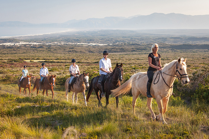 Guided horse riding, Grootbos Nature Reserve, Western Cape, South Africa