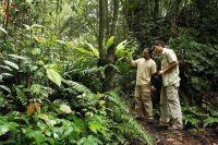 Jungle Walk, Cameron Highlands Resort