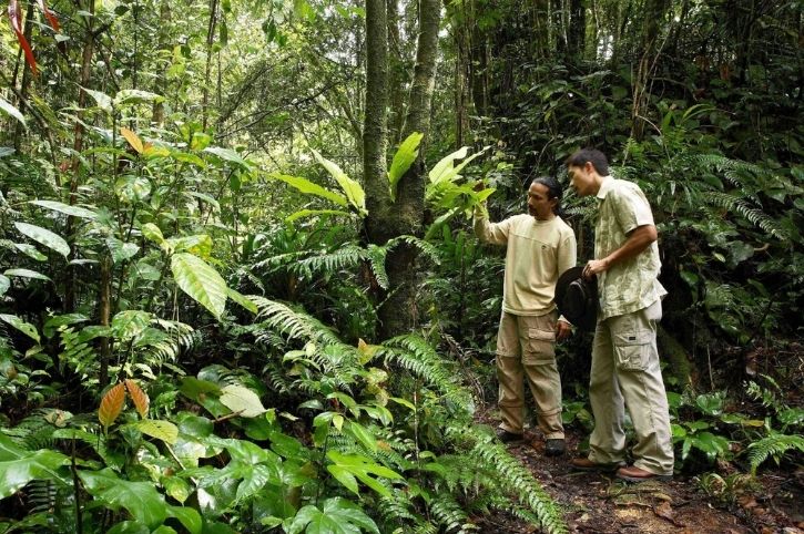 Jungle Walk, Cameron Highlands Resort
