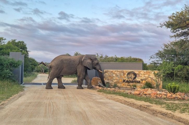 Kapama River Lodge, Greater Kruger, South Africa