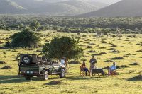 Kariega Settlers Drift Game Activity