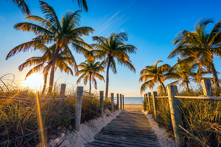 Beach & palm trees, Key West, Florida Keys, USA