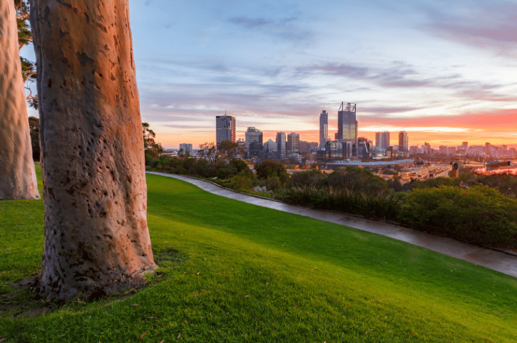 Kings Park, Perth