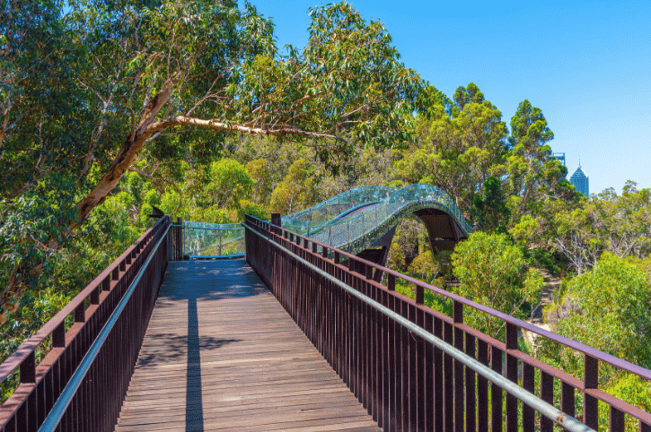 Federation Walkway, Kings Park, Perth