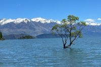 Lake Wānaka, South Island, New Zealand