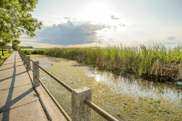 Walkway, Lake Apopka, Florida