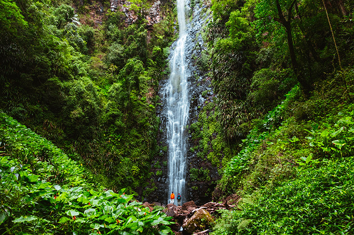 Larapinta Falls, Lamington National Park