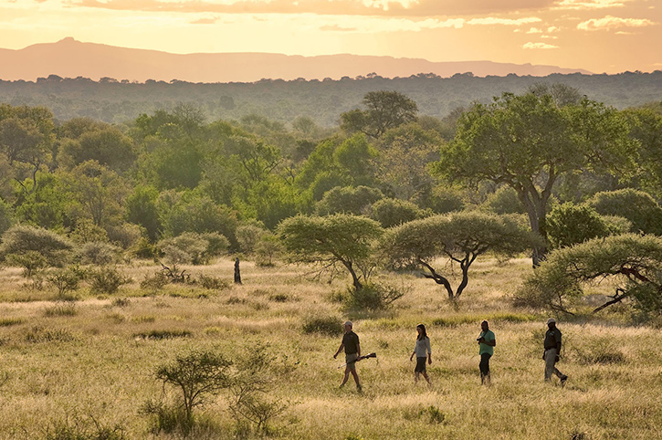 Walking Safari, Lion Sands, South Africa