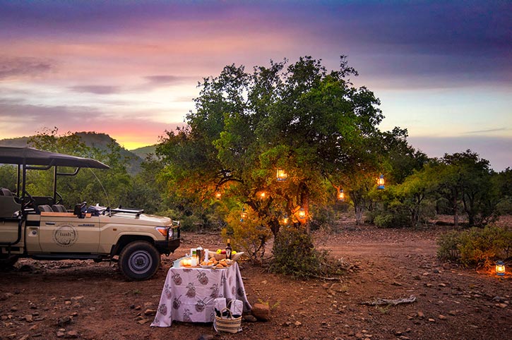 Lush Private Game Lodge Game Experience