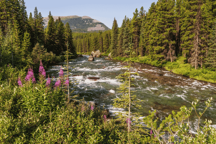 Maligne River, Jasper National Park, Canada