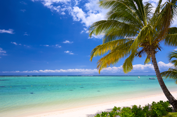 More Holidays to Mauritius...