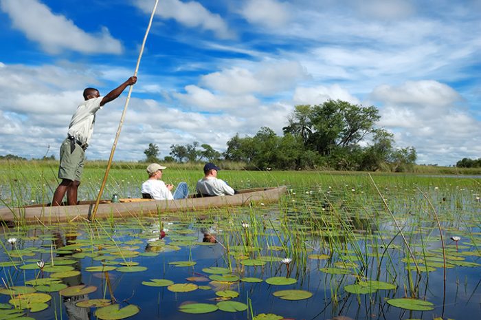 Mokoro safari, Okavango Delta