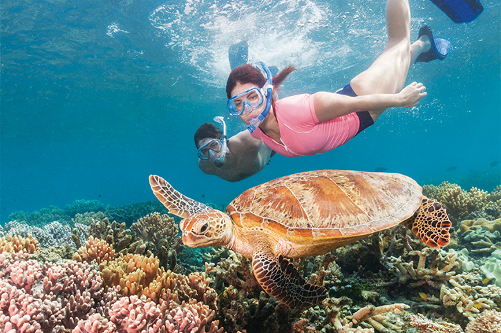 Snorkelling on Moore Reef