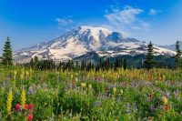 Mount Rainier, Washington