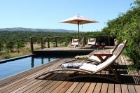 Pool, Msenge Bush Lodge