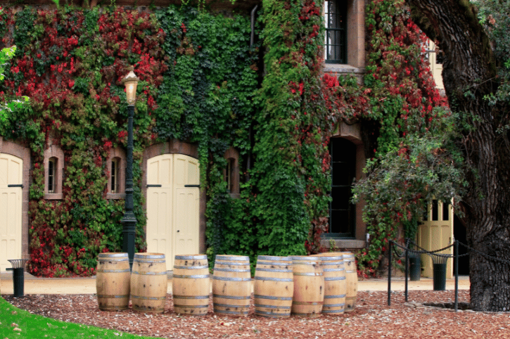 Napa Valley, Vineyard