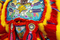 New Orleans, Mardi Gras, Black Masking Indians of New Orleans