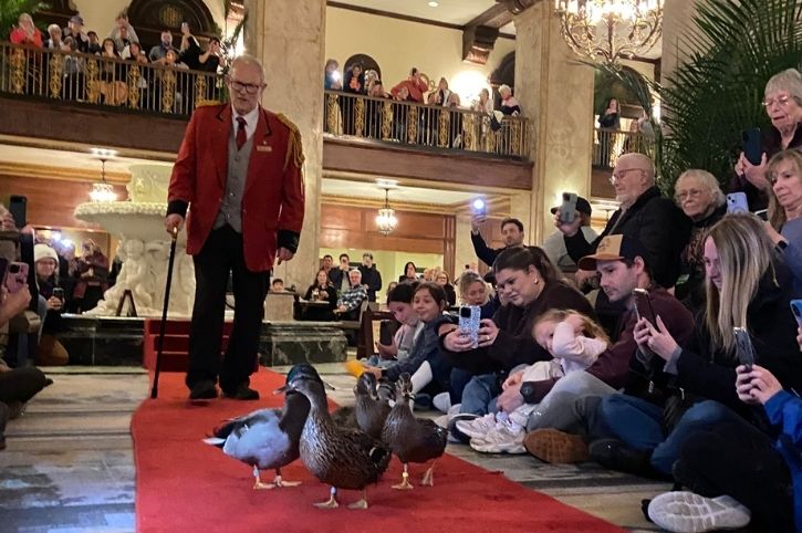 Peabody Duck Parade, Memphis