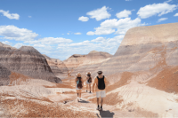 Petrified Forest National Park, Arizona