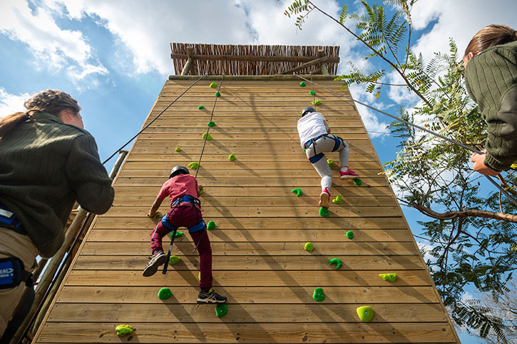 Riverdene climbing wall