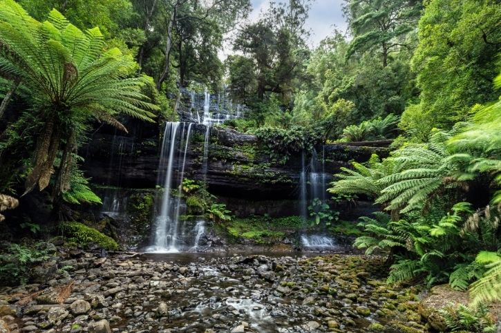 Russell Falls, Mount Field National Park