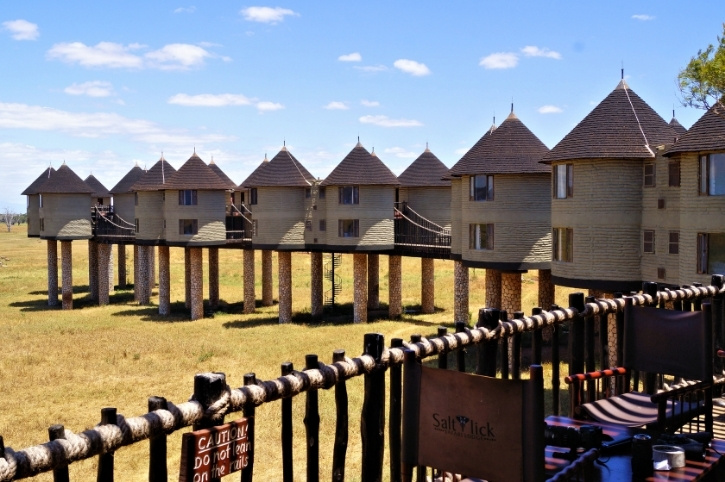 Salt Lick Safari Lodge, Kenya