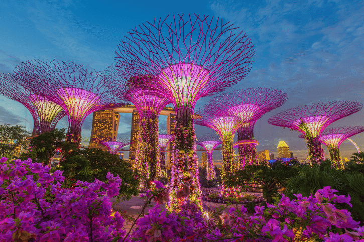 Singapore, garden rhapsody
