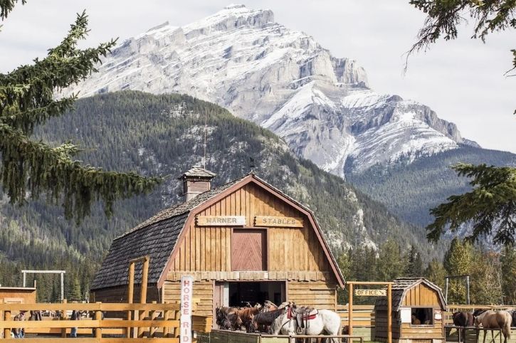 Stables, Banff Trail Riders