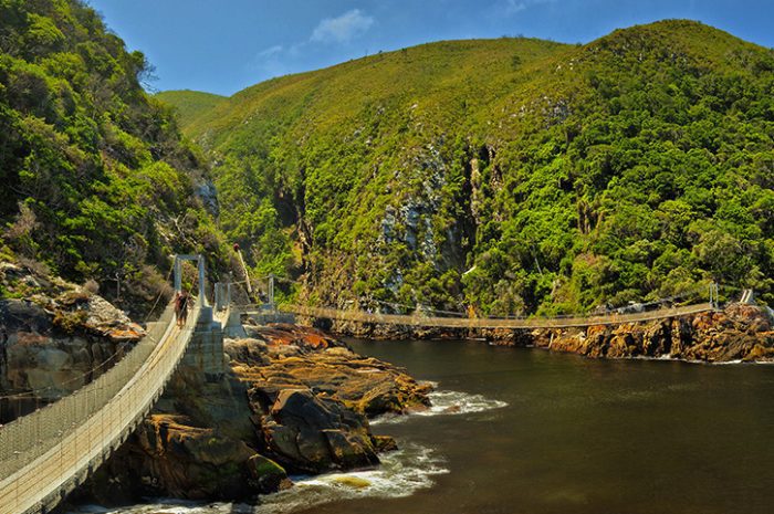 Storms River Suspension Bridge, Tsitsikamma National Park, South Africa