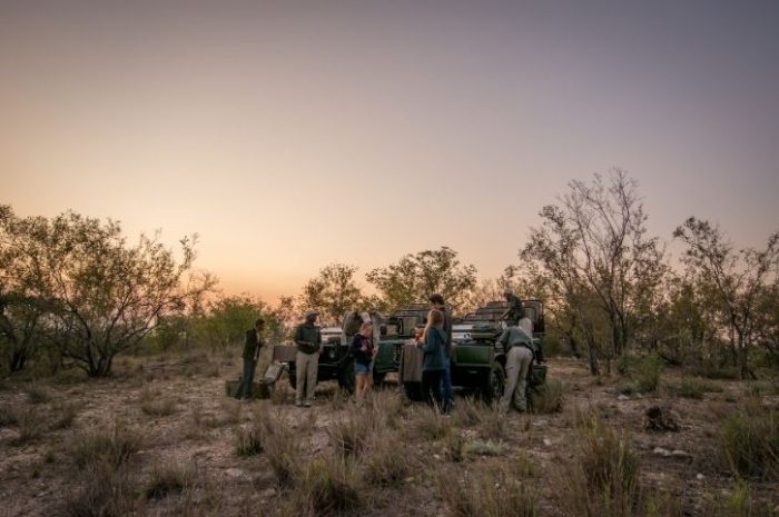 Sundowner, Makalali Private Game Reserve, Greater Kruger, South Africa