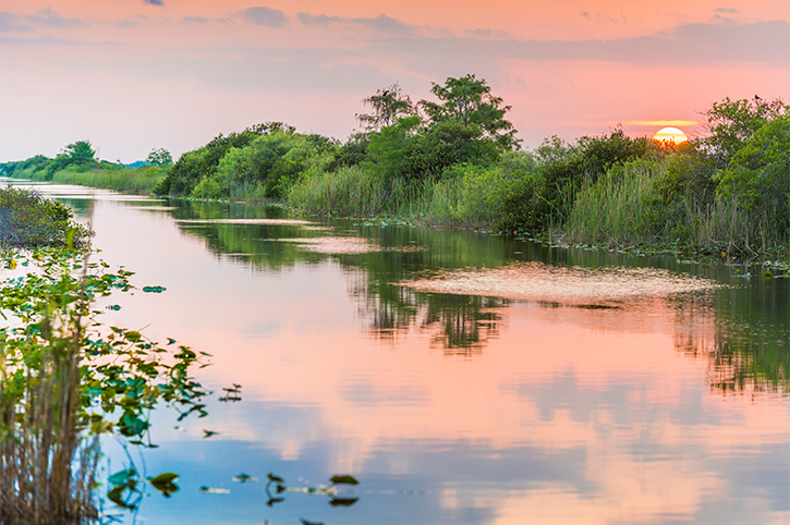 Sunset in Everglades National Park