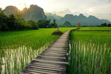 Rice paddies, Vang Vieng