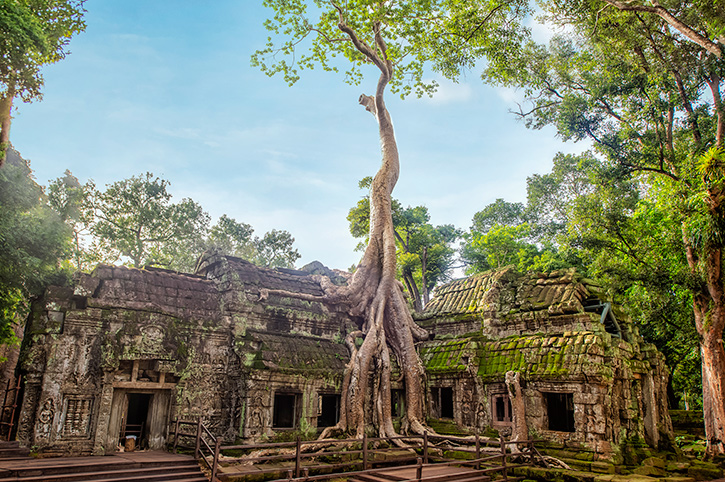 Ta Prohm, Cambodia