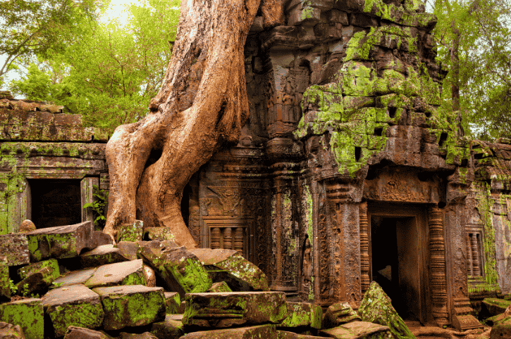 Ta Prohm, Temples of Angkor, Siem Reap, Cambodia