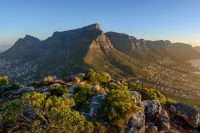 Table Mountain, Cape Town, South Africa