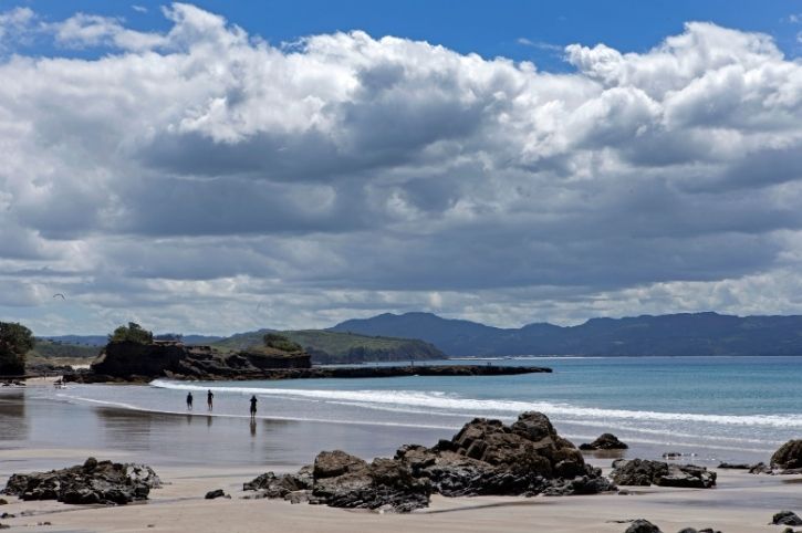 Tawharanui Regional Park, North Island, New Zealand