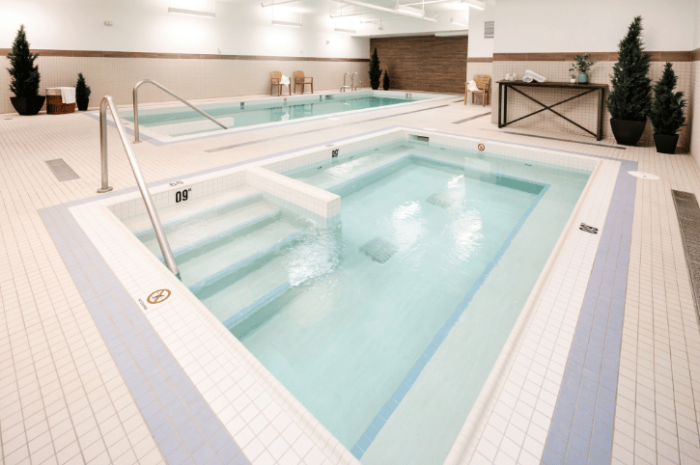 The Crimson Hotel, Jasper - pool