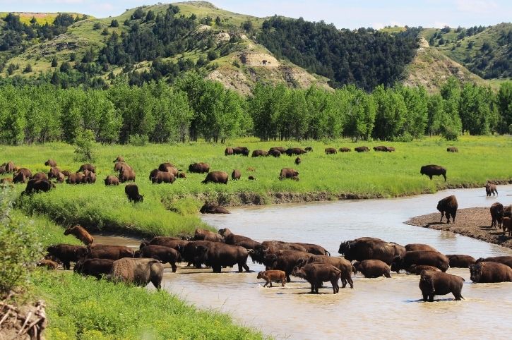 The National Parks & Monuments of the Great American West