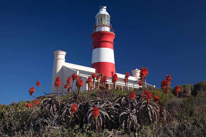 Cape Agulhas lighthouse, Southern tip of Africa, Grootbos Nature Reserve, Western Cape, South Africa