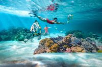 Great Barrier Reef, Australia