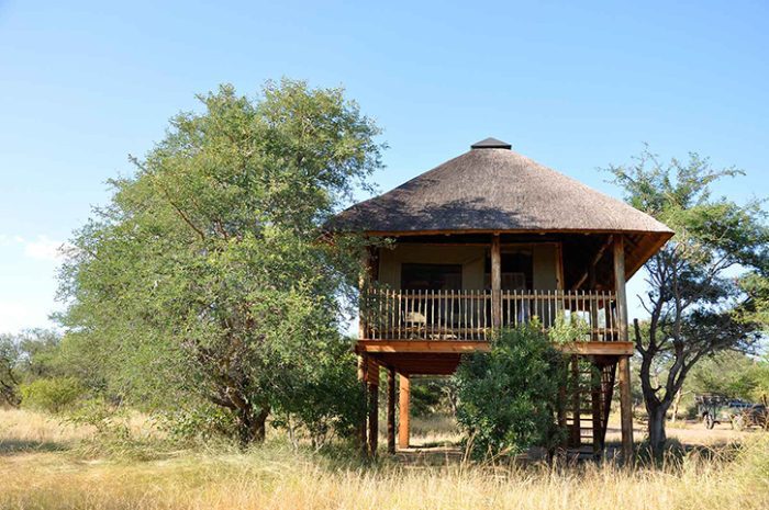 Tree Camp Exterior, nThambo