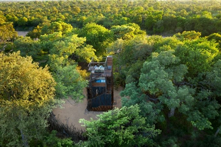 Treehouse, Ngala Safari Lodge, Ngala Private Game Reserve, Greater Kruger, South Africa