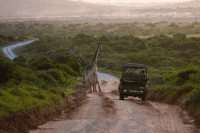 Game Drive, Riverdene Family Lodge
