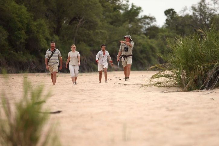 Walking Safari, Ngala Tented Camp, Ngala Private Game Reserve, Timbavati, Greater Kruger, South Africa