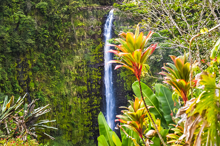 Waterfall, Hawaii