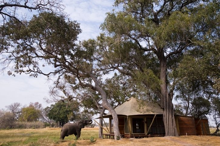 Xaranna Okavango Delta Camp